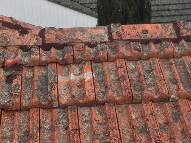 seal-replace-roof-tiles-7