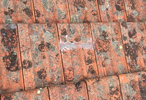 seal-replace-roof-tiles-10