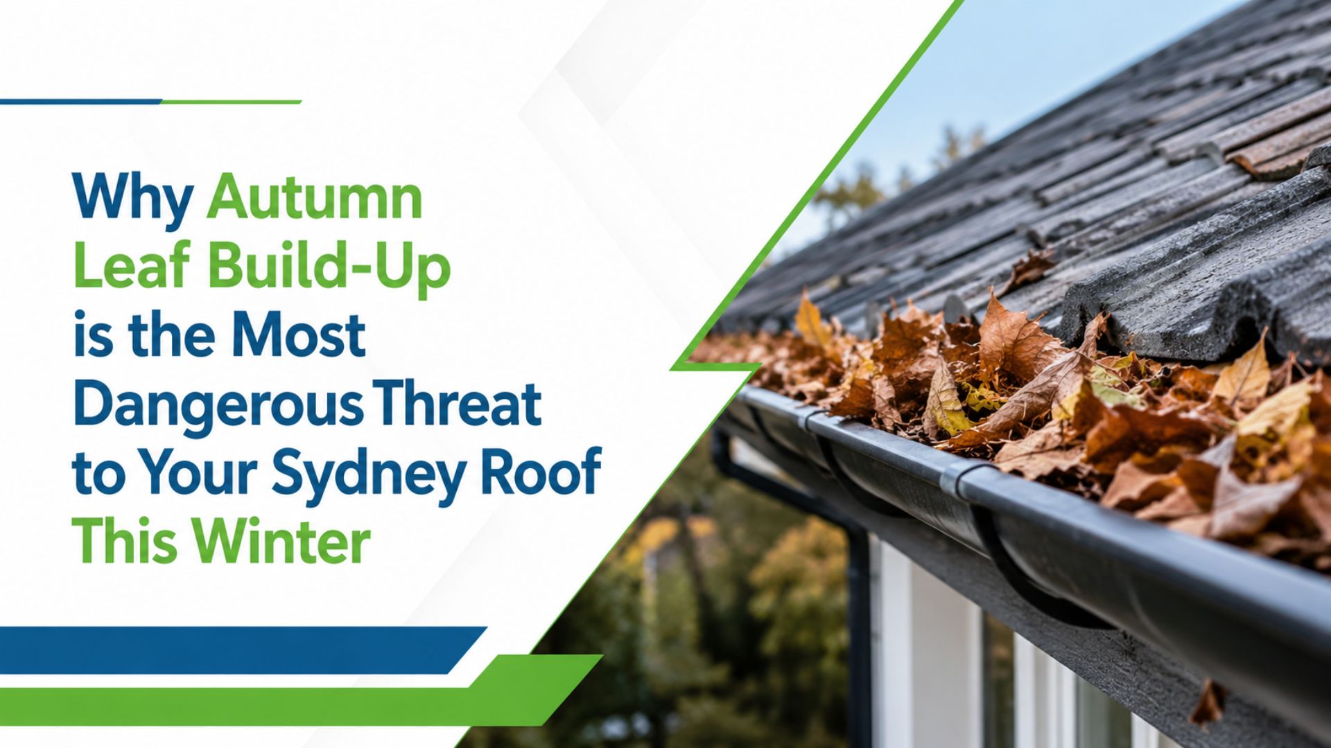 Gutter Cleaning Sydney